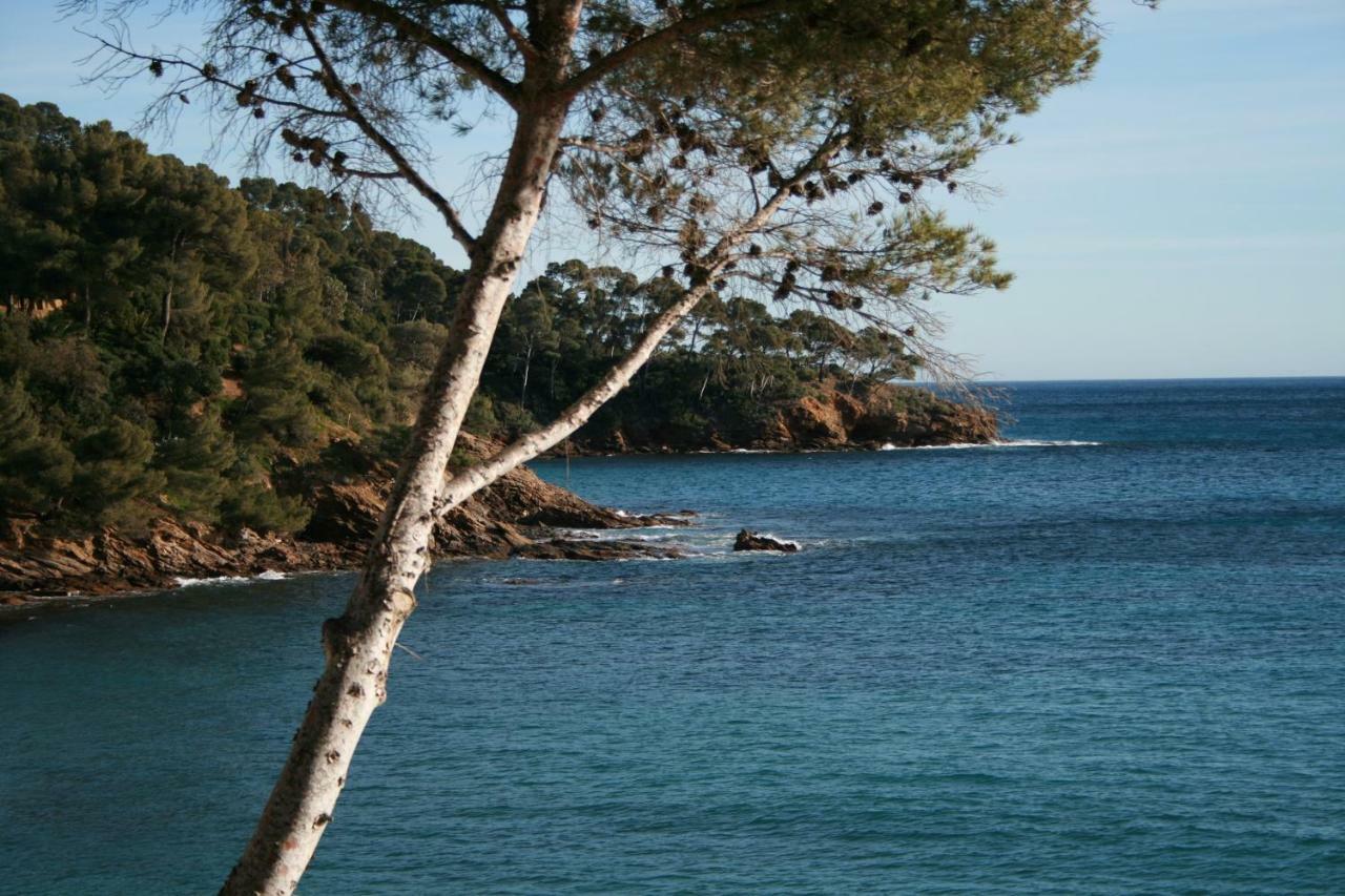 Villa Adriandre Rayol-Canadel-sur-Mer Exterior photo