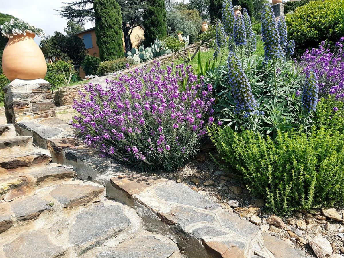 Villa Adriandre Rayol-Canadel-sur-Mer Exterior photo